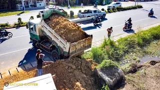 Incredible New Project Starting With Bulldozer Pushing Dirt & Dump Truck Unloading Dirt