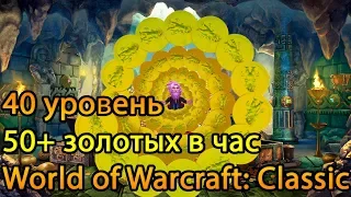 Способ заработать в World of Warcraft: Classic (#1)