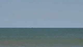 Orcas en playas de Mar del Plata