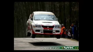 Rally Sumava crash