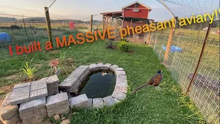 I built a MASSIVE pheasant aviary!!!