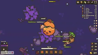 New, Taming.io Halloween update, Black cats and toads.