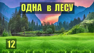 ПОЛЯНА для РОБИНЗОНА ТРЕНИРОВКА ВЫЖИВАНИЕ ОДНА В ЛЕСУ СУДЬБА ПЛЕМЯ ОБРЯДЫ ШАМАН и ЦЕЛИТЕЛЬНИЦА12