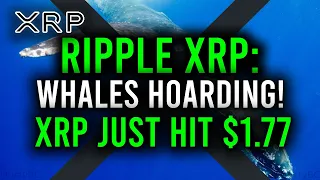 🚨RIPPLE XRP: WHALES ARE HOARDING XRP!!! XRP JUST HIT $1.77 & WILL WE BEAT DOGE?!