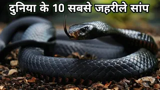 Top 10 Most Venomous Snakes In The World । दुनिया के 10 सबसे जहरीले साँप