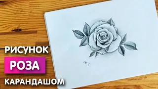 Рисунок розы простым карандашом | Срисовка картинки для начинающих поэтапно и легко