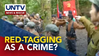 Congress urged to criminalized red-tagging