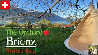 The most beautiful villages in Switzerland - Brienz and the Orchard 4K