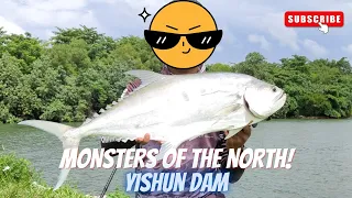 Episode 13: Monsters Of The North! 8.61KG Barracuda?! | Yishun Dam | Singapore Fishing