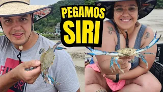 Pesca de SIRI - Como pegar siri