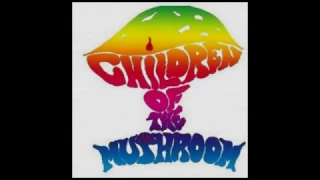 Children Of The Mushroom -"You can't erase a mirror".📌(1968)***** lyrics.