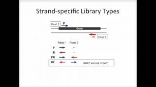 BroadE: Strand-specific RNA-Seq is Preferred