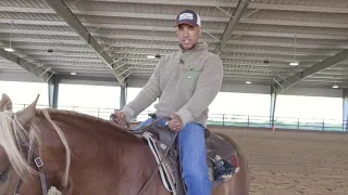 THE PROPER WAY TO HOLD YOUR REINS