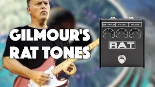 David Gilmour’s Rat Tones (…and More!)