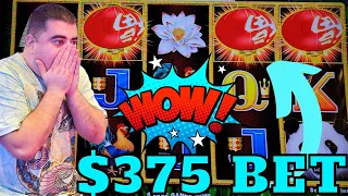 😱 Heart-Pounding Moments: Massive Wins on Popular Slot Games!