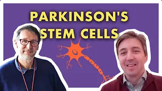 Can Stem Cells Treat Parkinson’s Disease?
