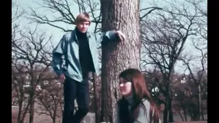 Anatomy Of A Teenage Courtship • Are You Ready For Marriage (1970)