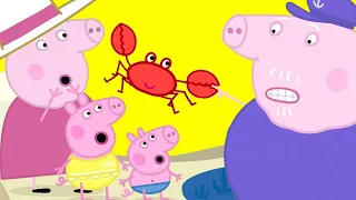 Zomer met Peppa ☀️ Tekenfilm 🍦 Peppa Pig Nederlands Compilatie Nieuwe