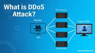 What is DDos Attack in 1 Minute