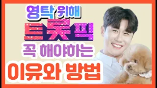 🦊👍트롯픽 투표 이유와 방법 ㅣ🦊👍 영탁위해 꼭 해야하는 트롯픽 투표 이유와 방법 ㅣ🦊👍초간단 트롯픽 투표 방법