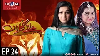 Jaltay Gulab | Episode 24 | TV One Classics | 3rd December 2017