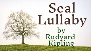 Seal Lullaby by Rudyard Kipling