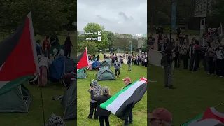 University of Sussex students launch Gaza solidarity encampment