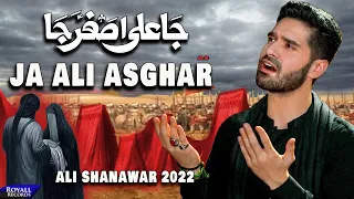 Ja Ali Asghar | Ali Shanawar | 2022 | 1444