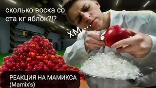 Сколько из ста кг яблок будет воска?