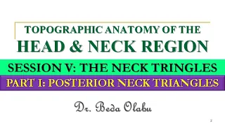 ANATOMY OF THE NECK TRIANGLES PART I - THE POSTERIOR NECK TRIANGLES AND THE SUBOCCIPITAL TRIANGLE