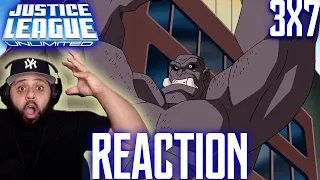 Justice League Unlimited: l "S3 E7 " Patriot Act" 3x7  l Reaction