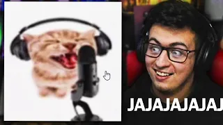 me vuelvo completamente loco viendo memes