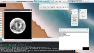 I2K 2020 tutorial: 3D Analysis with the 3D ImageJ Suite (session 1, part 2)