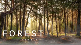 Forest Temple | Zen Meditation Ambient Music | Relief Stress Relax Heal Mind and Body