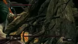 Dark Souls - All Bosses Speedrun 1:26:56 Crapplemage Route