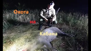 Охота на Кабана