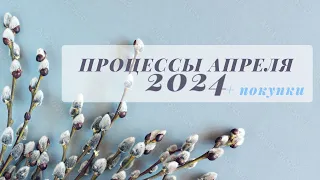 Процессы апреля 2024 +  покупки