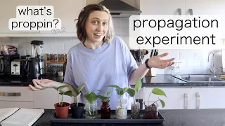 WHAT IS THE BEST PROPAGATION MEDIUM? | What's Proppin' Ep. 2