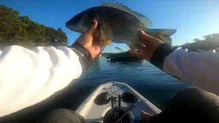 Massive Bream on an OSP Bent Minnow 76