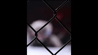 Keith Richardson finish at XMMA