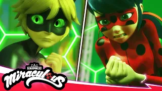 MIRACULOUS | 🐞 REVOLUCIÓN - Ladybug & Cat Noir 🐾 | Las Aventuras de Ladybug