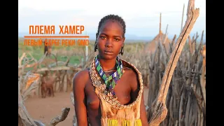 Ethiopia. Hamer tribe in the Omo River Valley. Племя Хамер. Долина реки Омо.  [Дикие племена Африки]