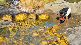 Treasure Hunting! Find & dig up for Gold Nuggets at River, worth million dollar