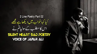 Two Line Poetry Part 02 | Urdu Sad Poetry | Sad Ghazal In Urdu | Bewafa Sad Poetry | Urdu Sad Shayri