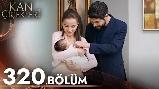 Kan Çiçekleri 320. Bölüm