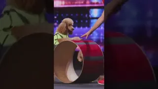 😲 MOST Talented Dogs Perform to "Butter" by BTS on AGT. 🔥