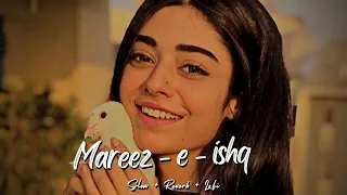 Mareez - E - Ishq [Slow + Reverb + Lofi] | LOFI SONGS | Lofi Studio