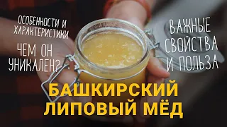 Башкирский липовый мед. Полезные свойства и особенности.