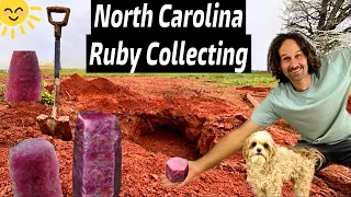 Ruby & Sapphire Discovery in a North Carolina BACKYARD 🤯