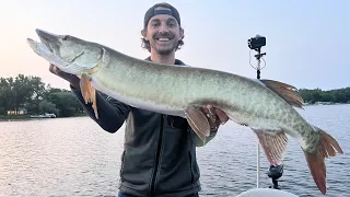 Live Scope Musky on a bucktail